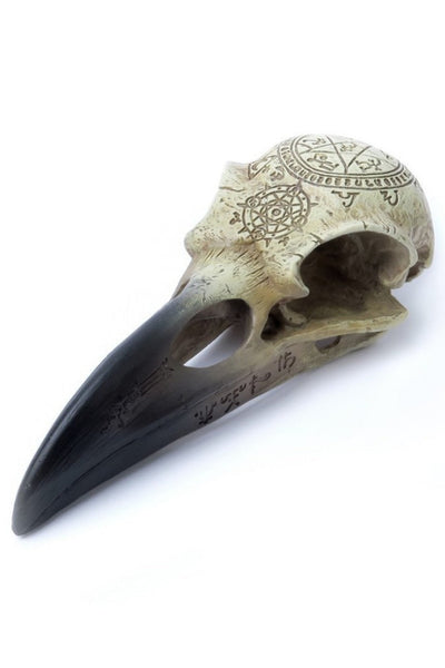 Omega Raven Hauskúpa