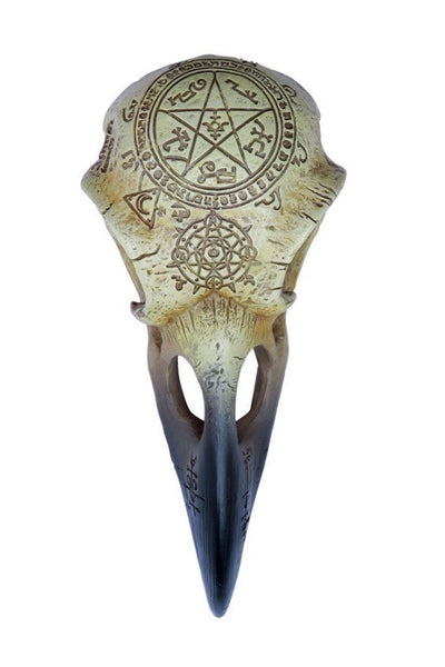 Omega Raven Hauskúpa