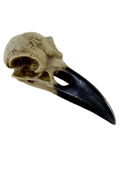 Corvus Hauskúpa