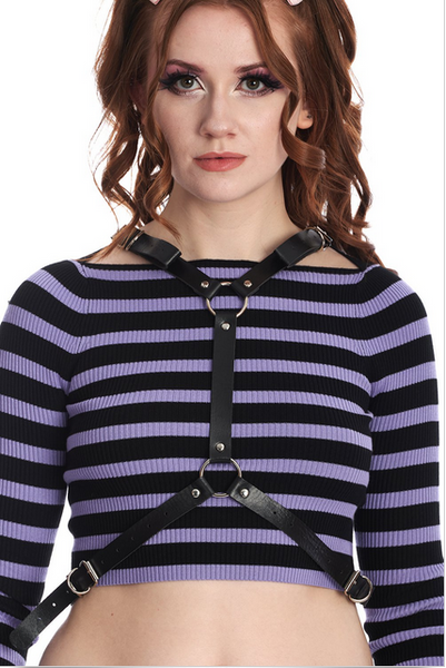 Fallen Angel Harness