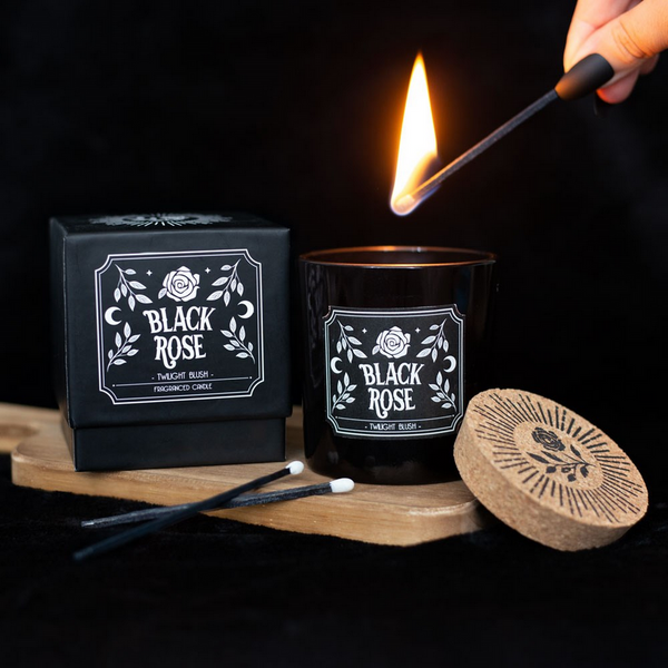 Black Rose Twilight Blush Kerti