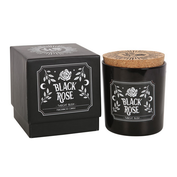 Black Rose Twilight Blush Kerti
