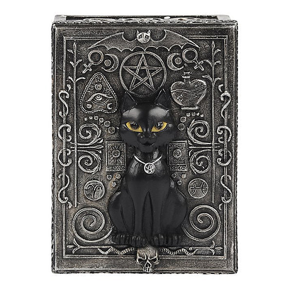 Black Cat Geymslubox