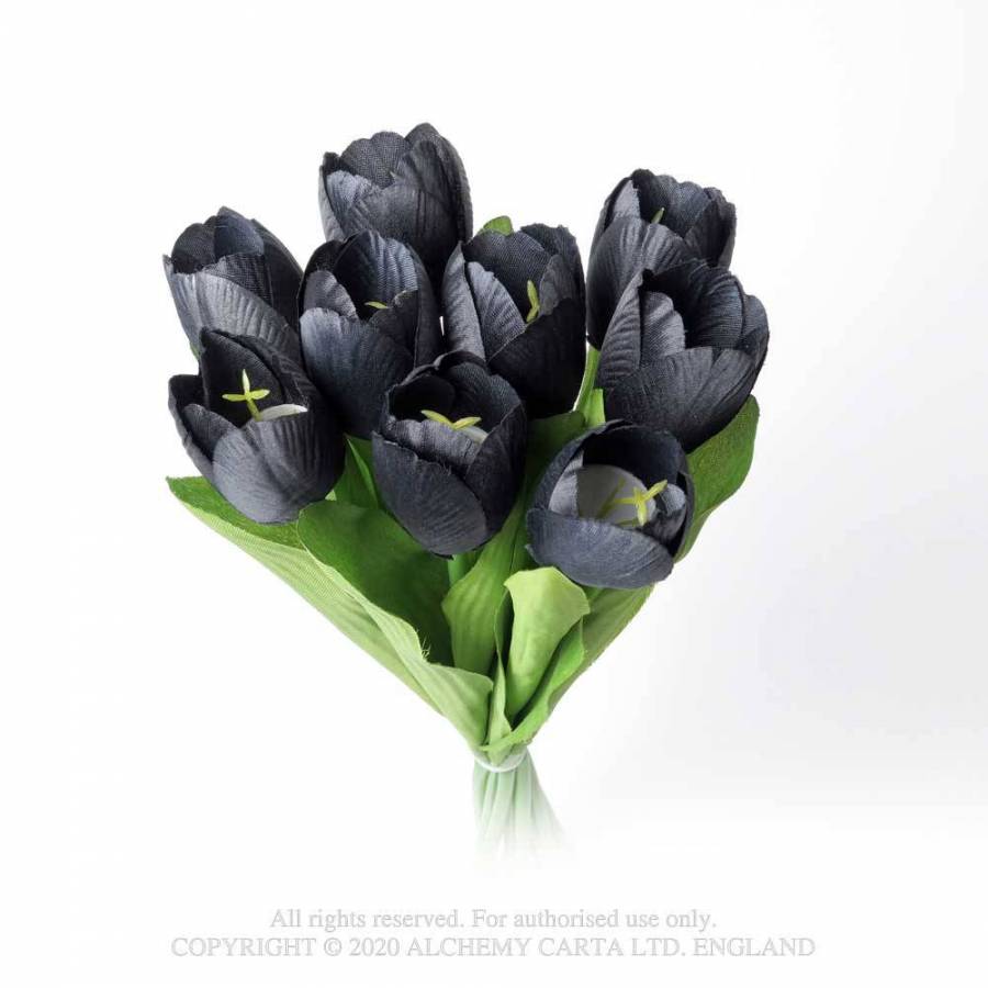 Black Tulip Búnt