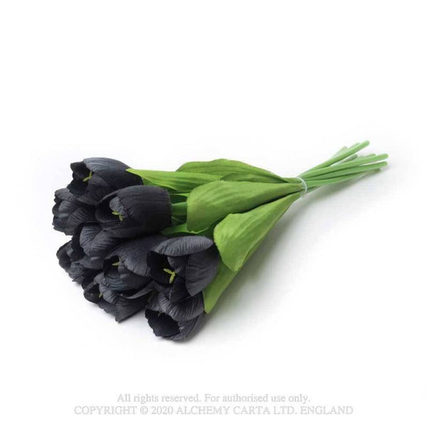 Black Tulip Búnt