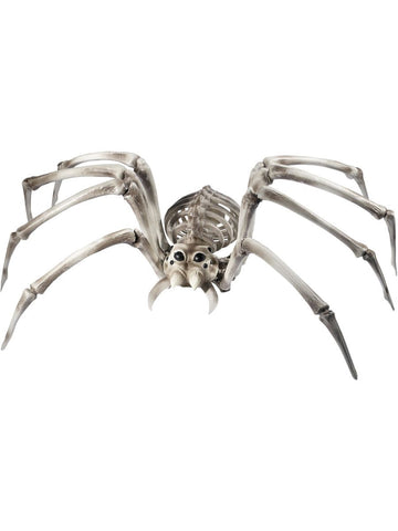 Spider Skeleton Stytta
