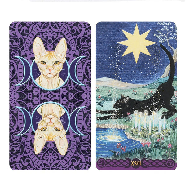 Pagan Cats Tarot Spil