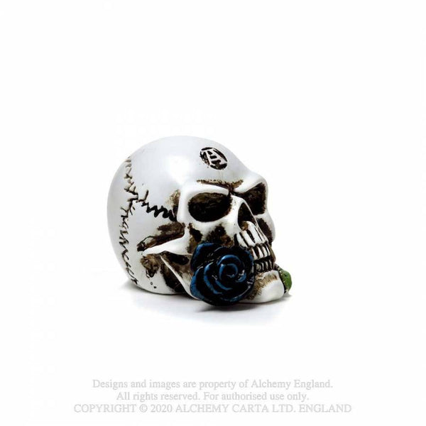 Miniature Alchemist Skull