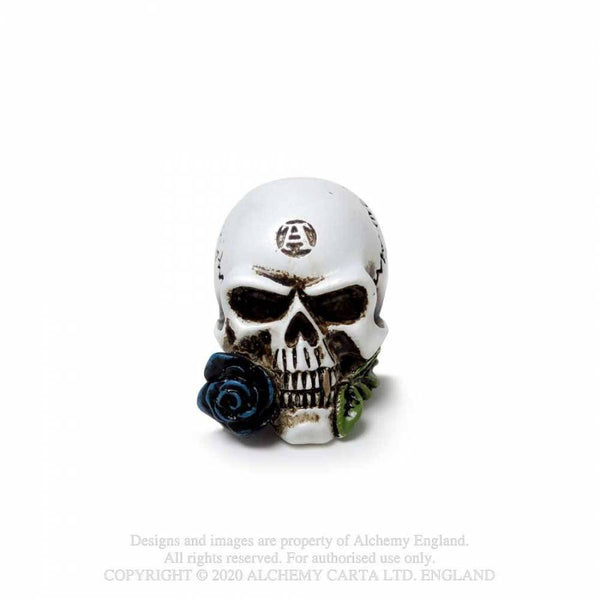 Miniature Alchemist Skull