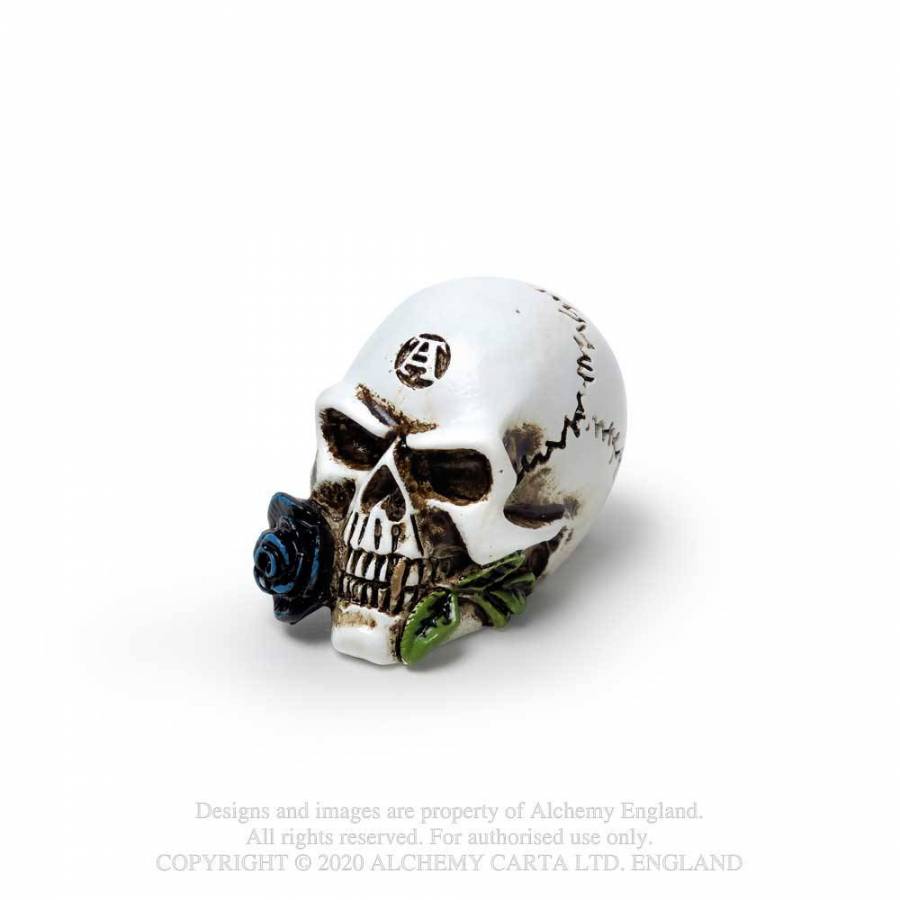 Miniature Alchemist Skull