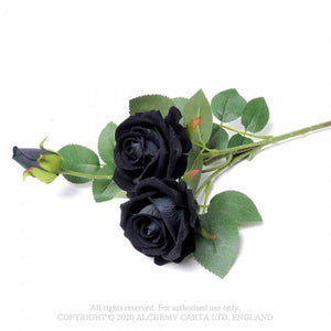 Black Roses skraut