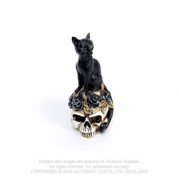 Miniature Cat/Skull