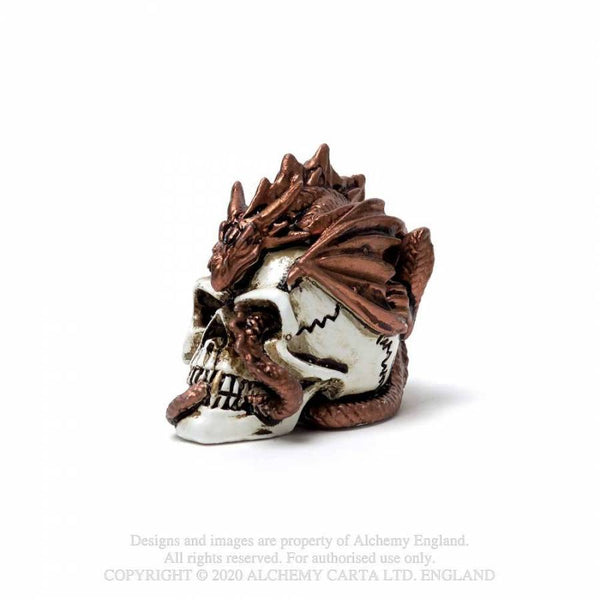Miniature Dragon keeper Skull