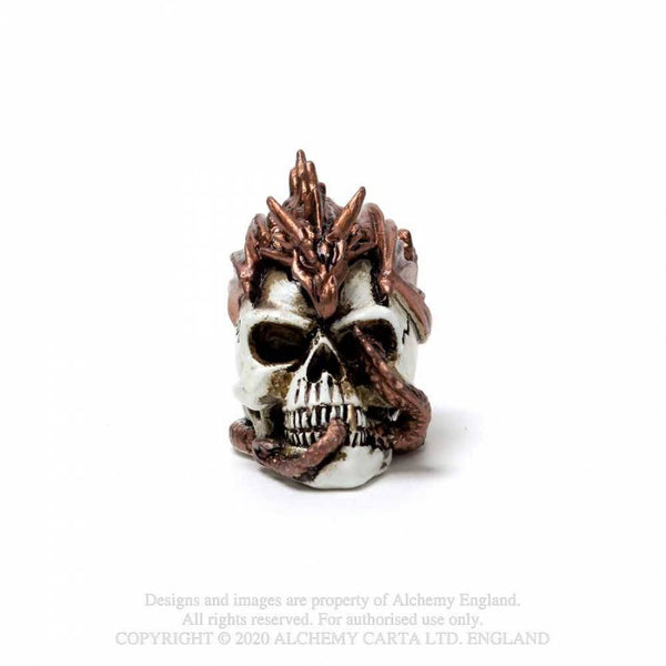 Miniature Dragon keeper Skull