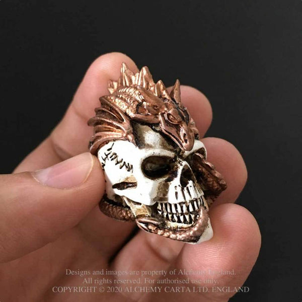 Miniature Dragon keeper Skull