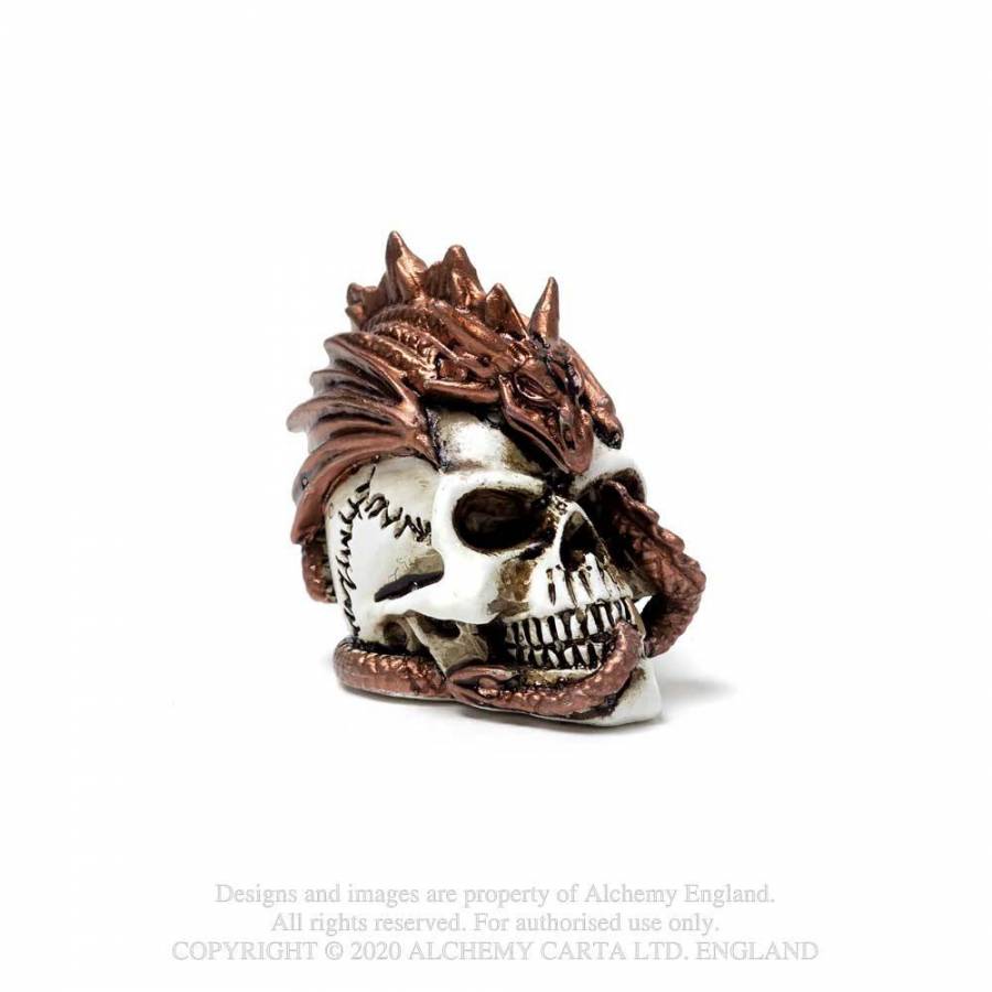 Miniature Dragon keeper Skull