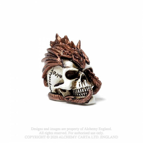Miniature Dragon keeper Skull