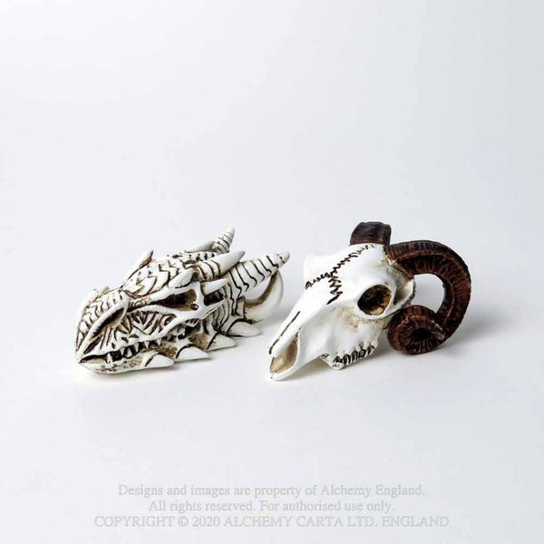 Miniature Dragon Skull