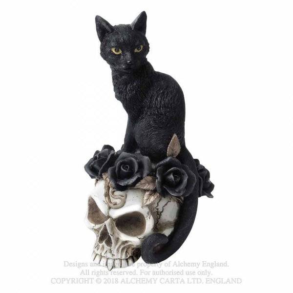Black Cat & Skull