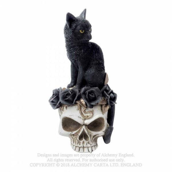 Black Cat & Skull