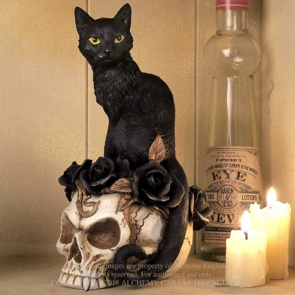 Black Cat & Skull