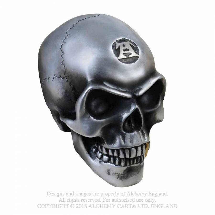 Metalised Alchemist Skull