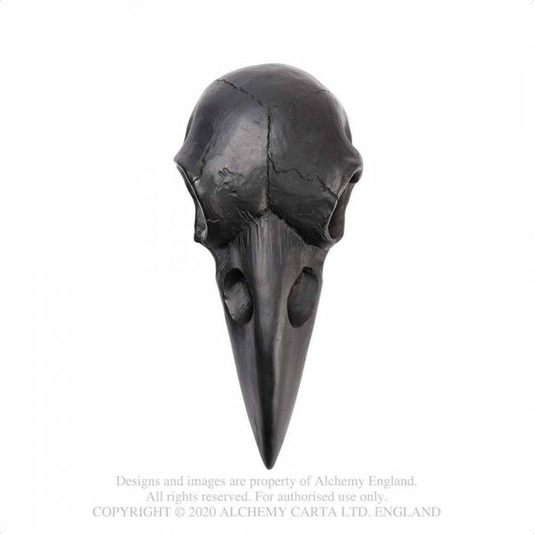 Black Raven Skull Spegill