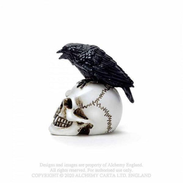 Miniature Raven Skull