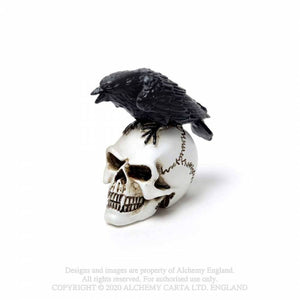 Miniature Raven Skull