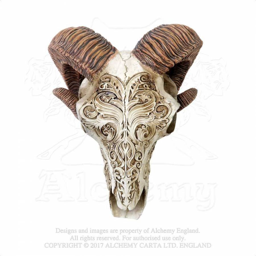 Skrimshaw Ram Skull