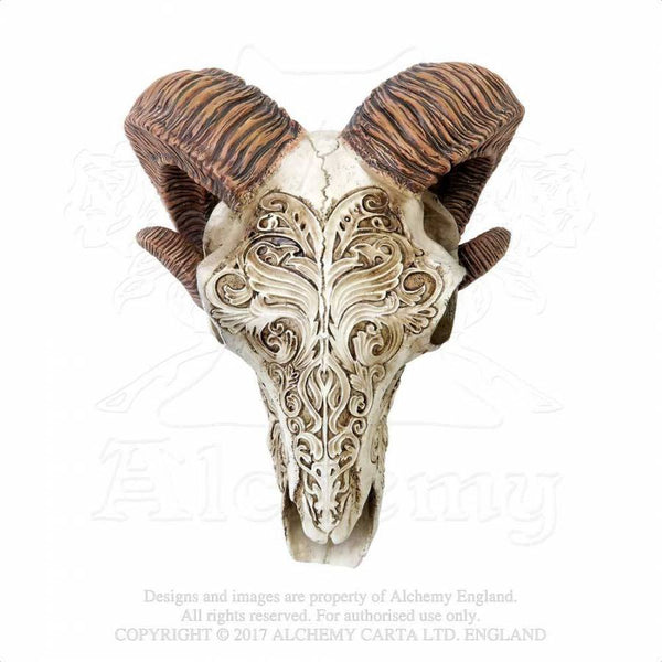 Skrimshaw Ram Skull