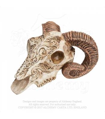 Skrimshaw Ram Skull