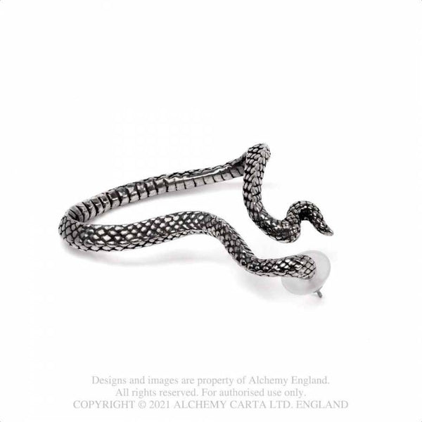Serpentine Eyrnalokkur