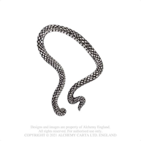 Serpentine Eyrnalokkur