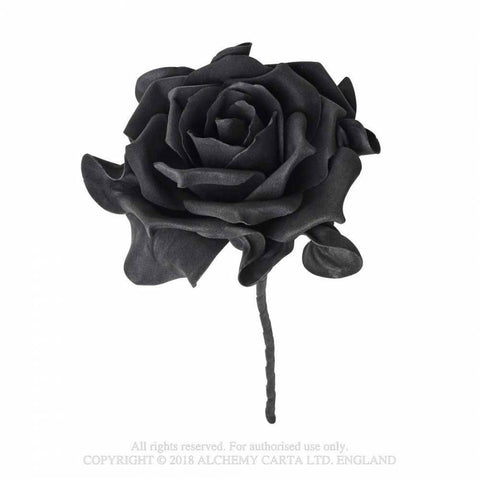 Black Rose Stilk