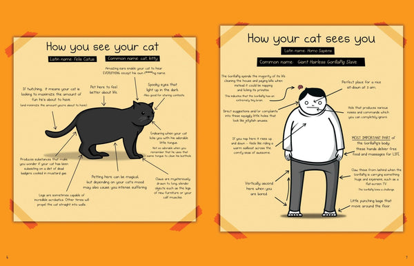 How To Tell If Your Cat Plotting To Kill You